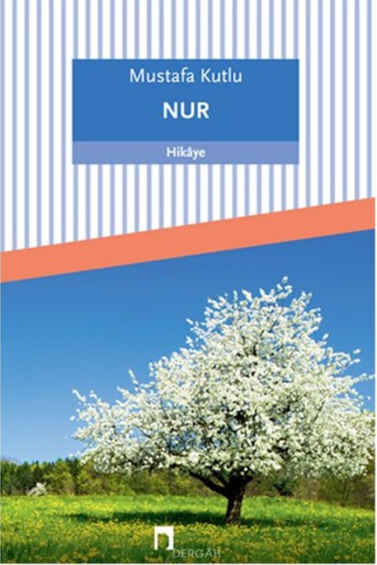 Dergah Yayınları Nur Roman