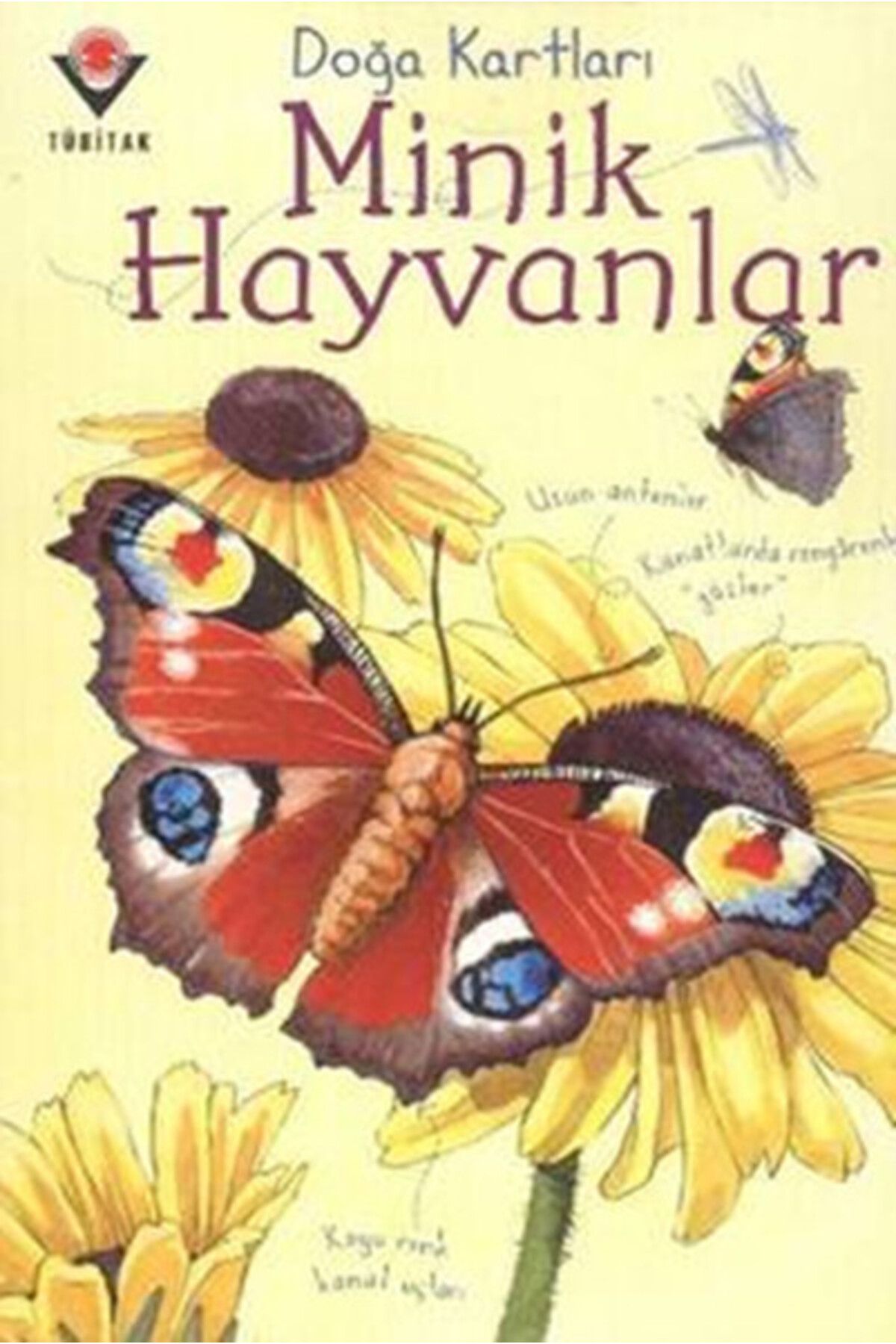 Türk Dil Kurumu Yayınları Doğa Kartları - Minik Hayvanlar