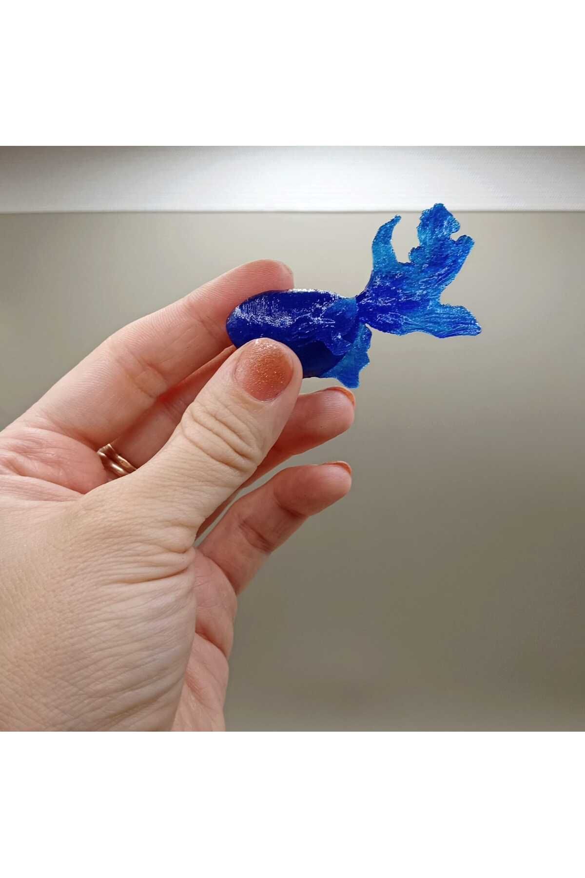 Lucest Çok karmaşık balık (Plastik Aparattır!!!)