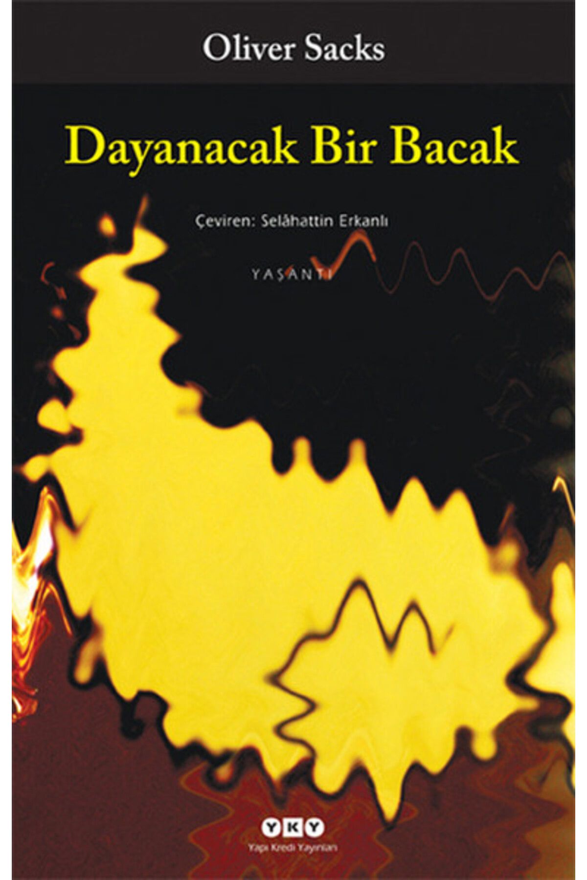 Yuva Yayınları Dayanacak Bir Bacak