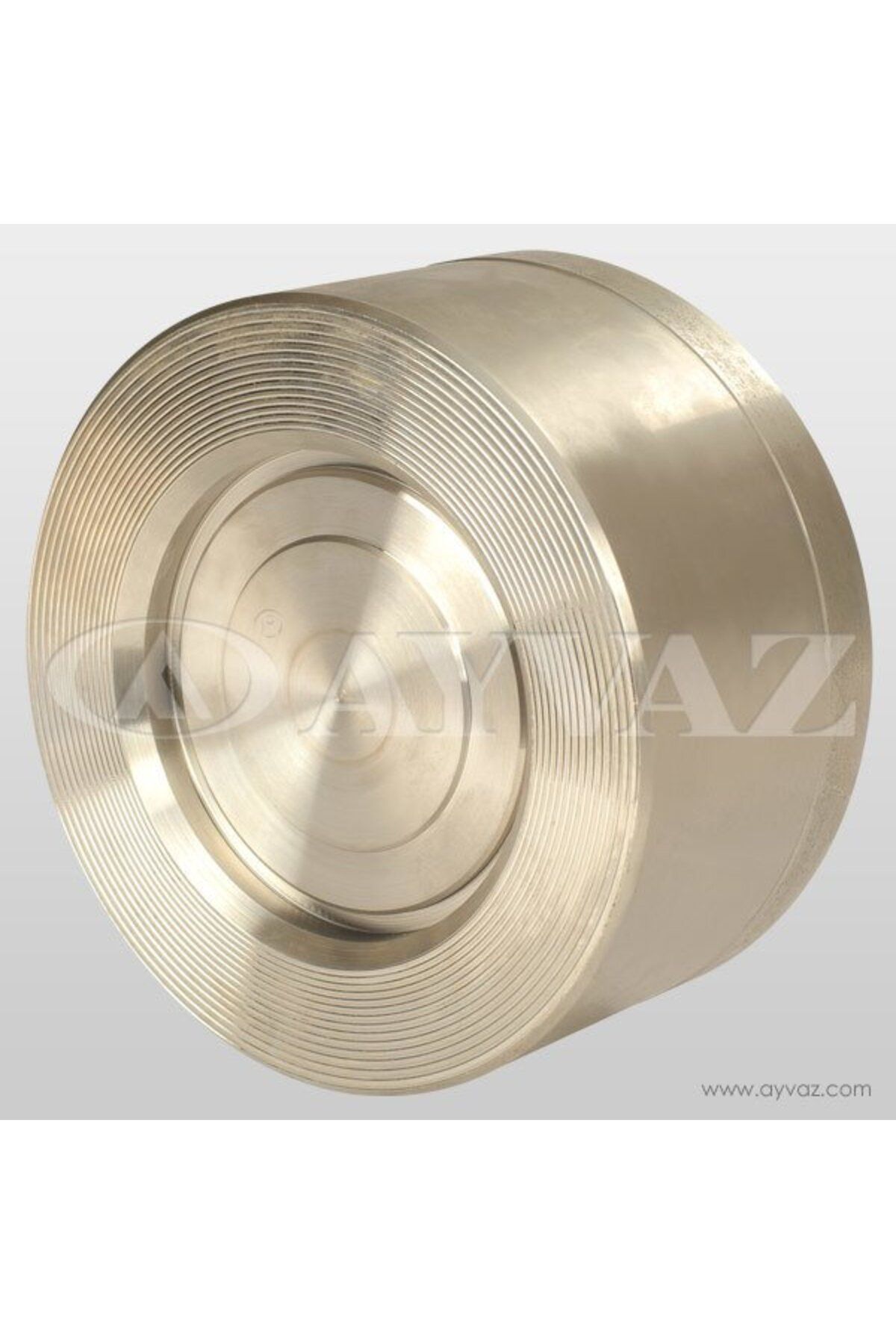 AYVAZ ÇEKVALF DİSCO PASLANMAZ 304 DN 65 ÇV-10S/1