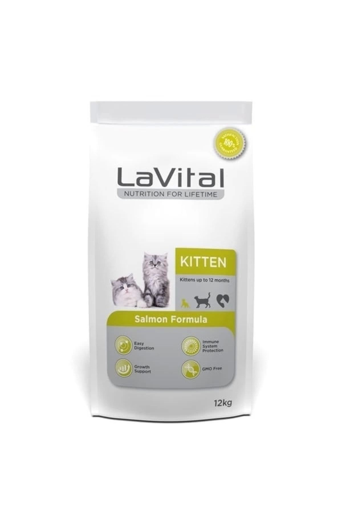 thebestnzm Lavital Kitten Somonlu Yavru Kedi Maması 12 Kg