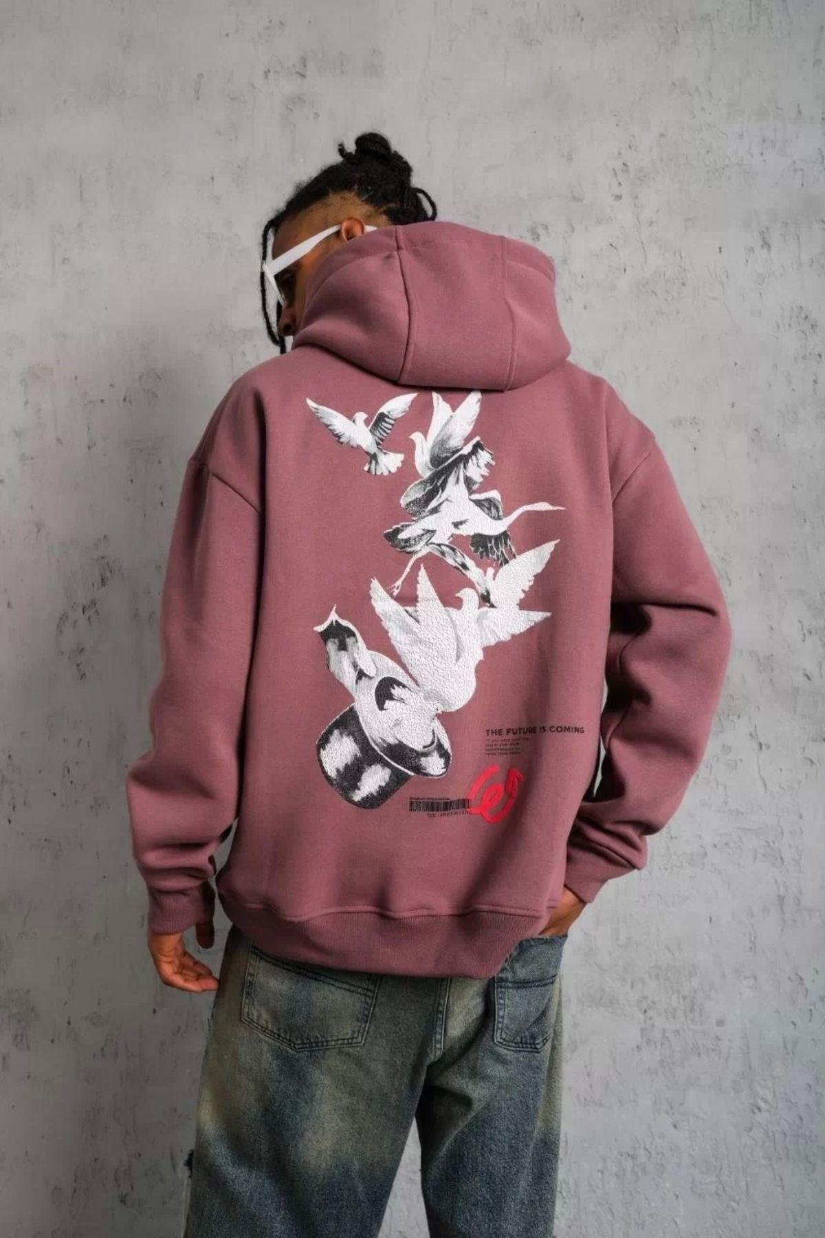 MODA CS Erkek Şapkalı Güvercin Baskılı Kapşonlu Sweat - Gül Kurusu