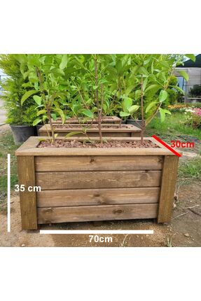 DESTİNA Destina Ahşap Saksı "ceviz Renk" (30CMX70CMXH35CM)