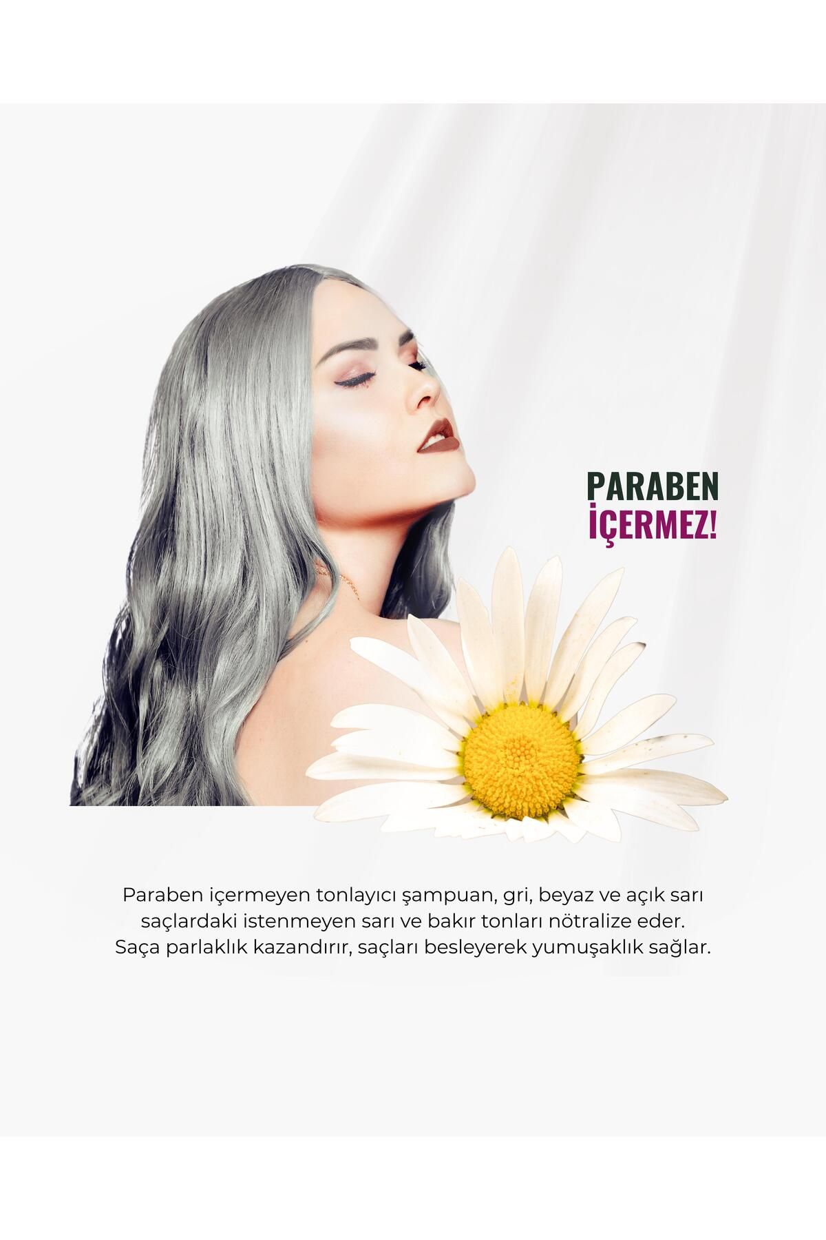 Samplexx-500 Ml Silver Reflection Shampoo - No-Yellow 2