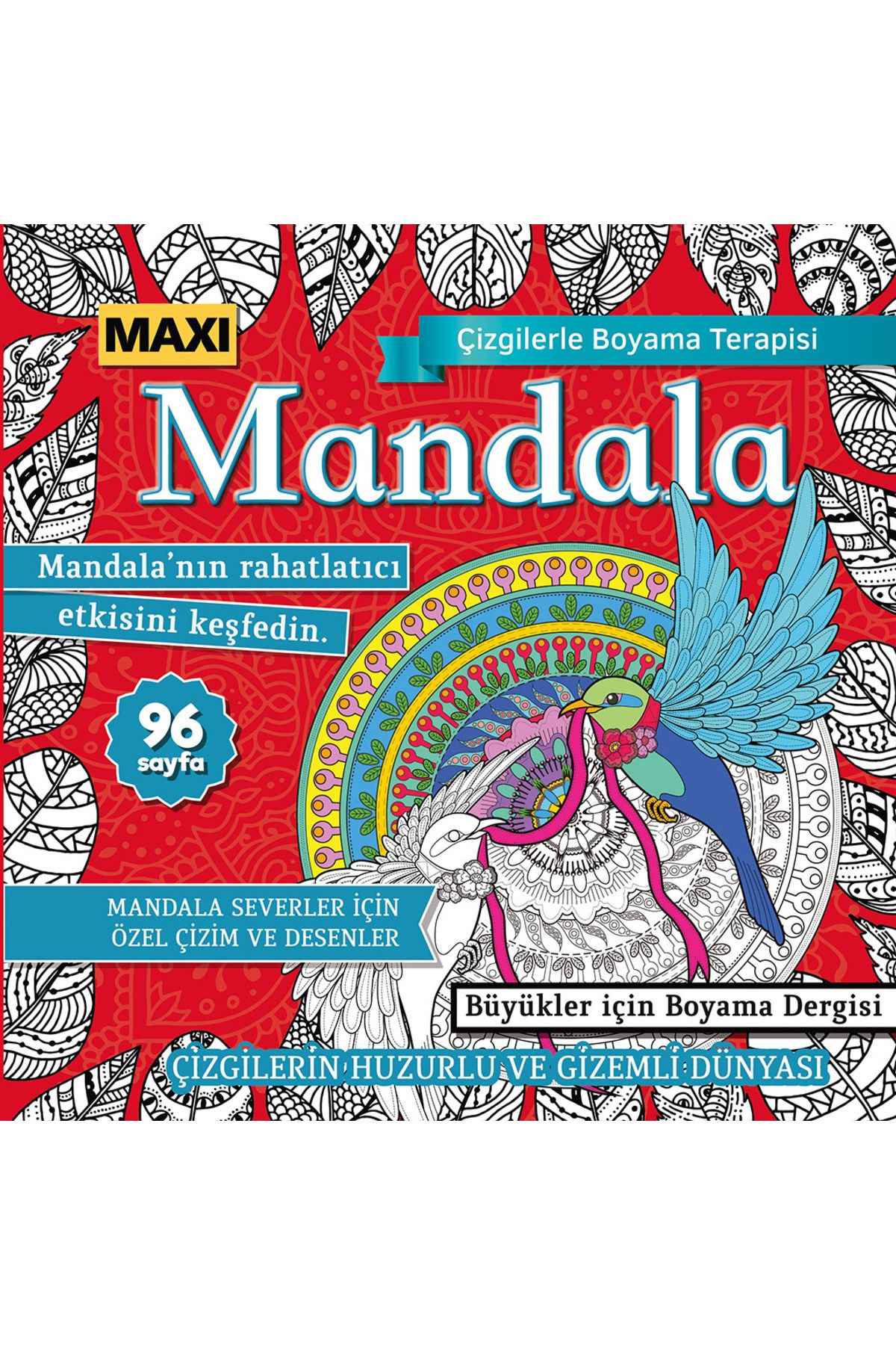MAXİ Maxi Mandala Çizgilerle Boyama Terapisi 012