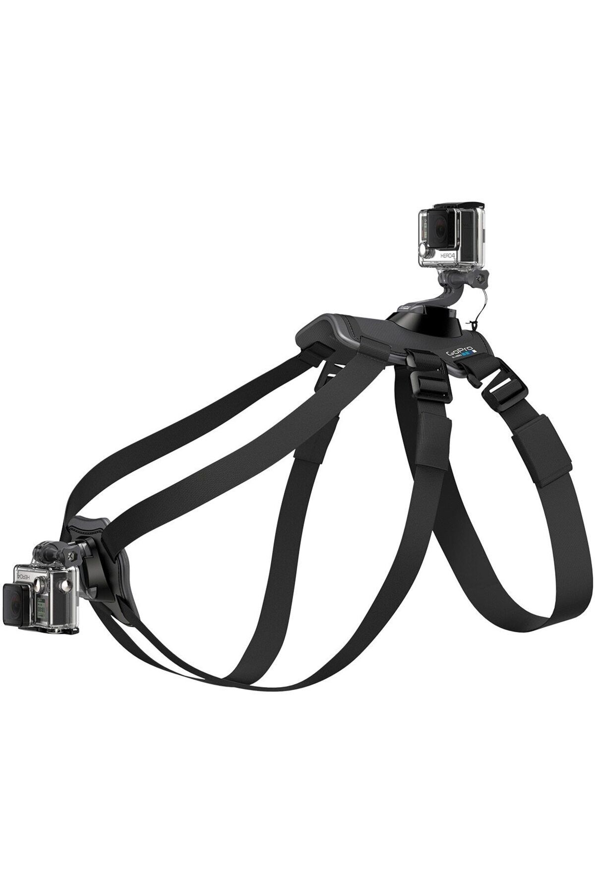 GoPro-Adjustable GoPro sports video camera harness for dogs 3