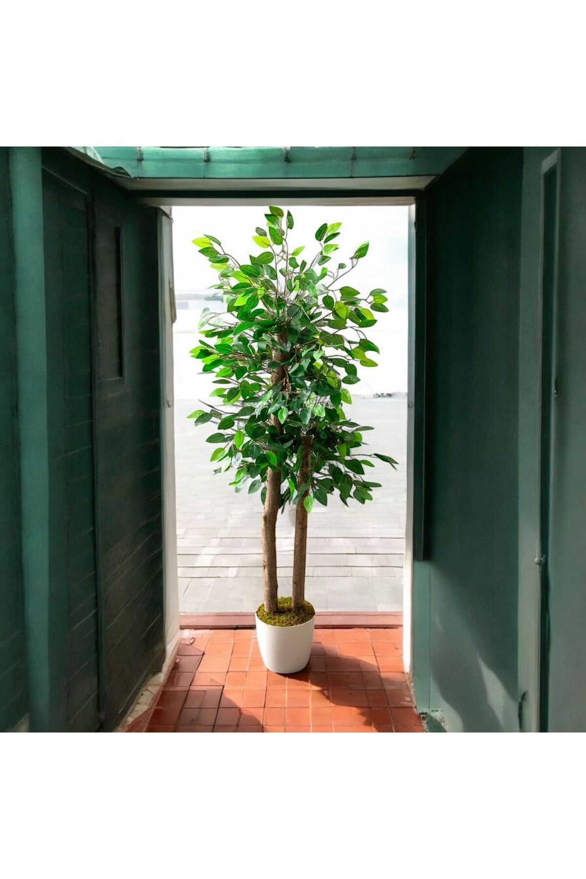 Altun Çiçekcilik YAPAY BENJAMİN 130 CM