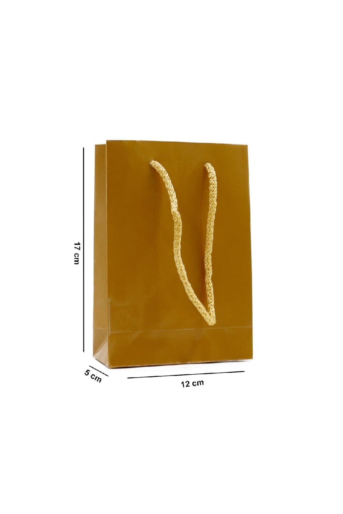 gnsstore Karton Çanta 12X17