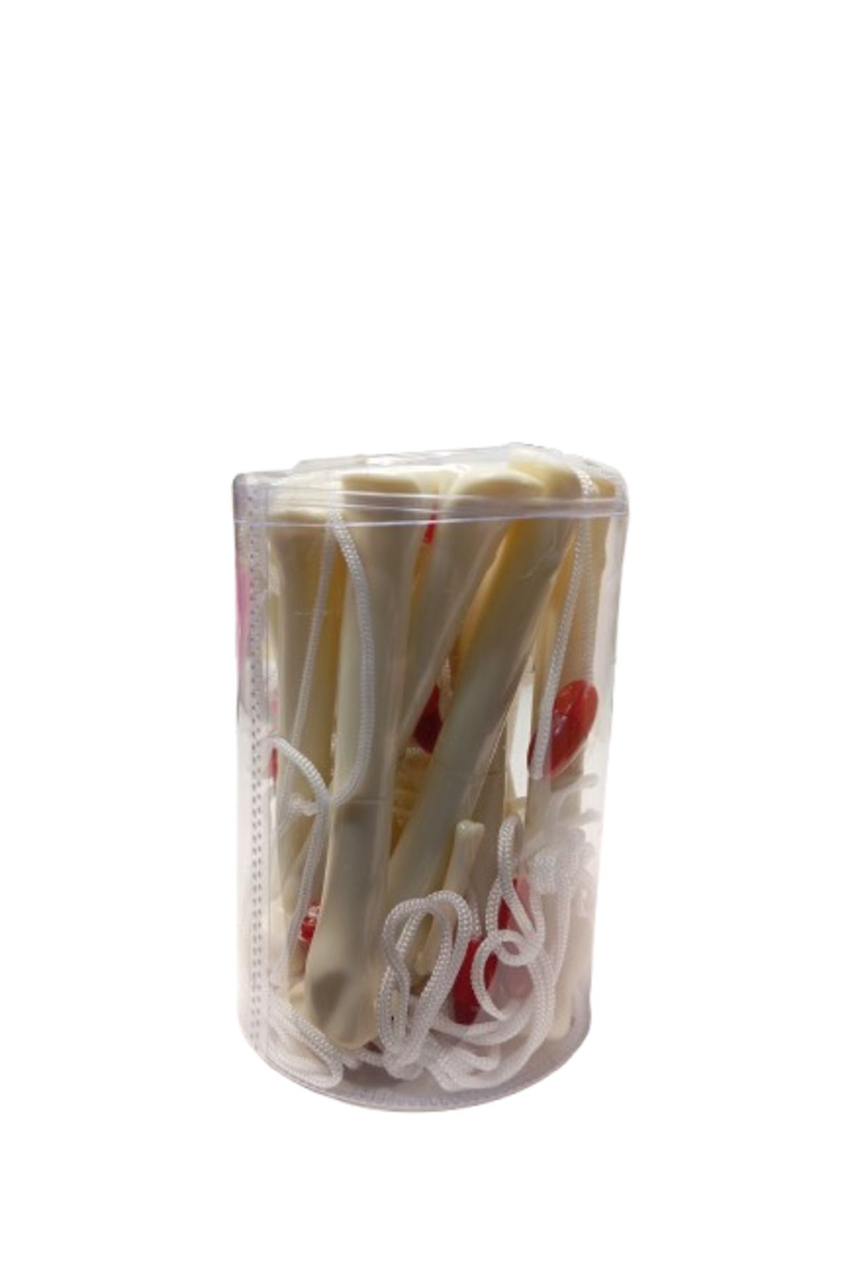 gnsstore Kemik Kalem 12 Li