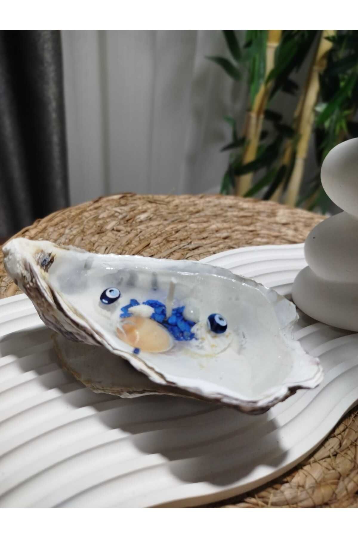 Breeze Candle BreezeCandle:Ev,Ofis dekoru için benzersiz bohem vazo& temalı gerçek istiride kabuğunda jel mum.
