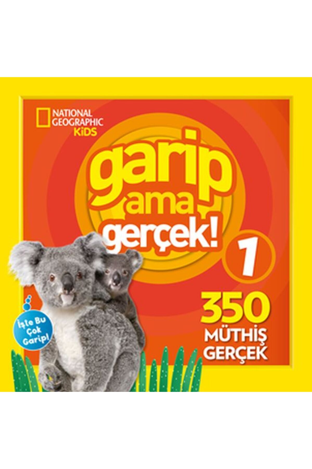 Destek Yayınları Kids Garip Ama Gerçek 1