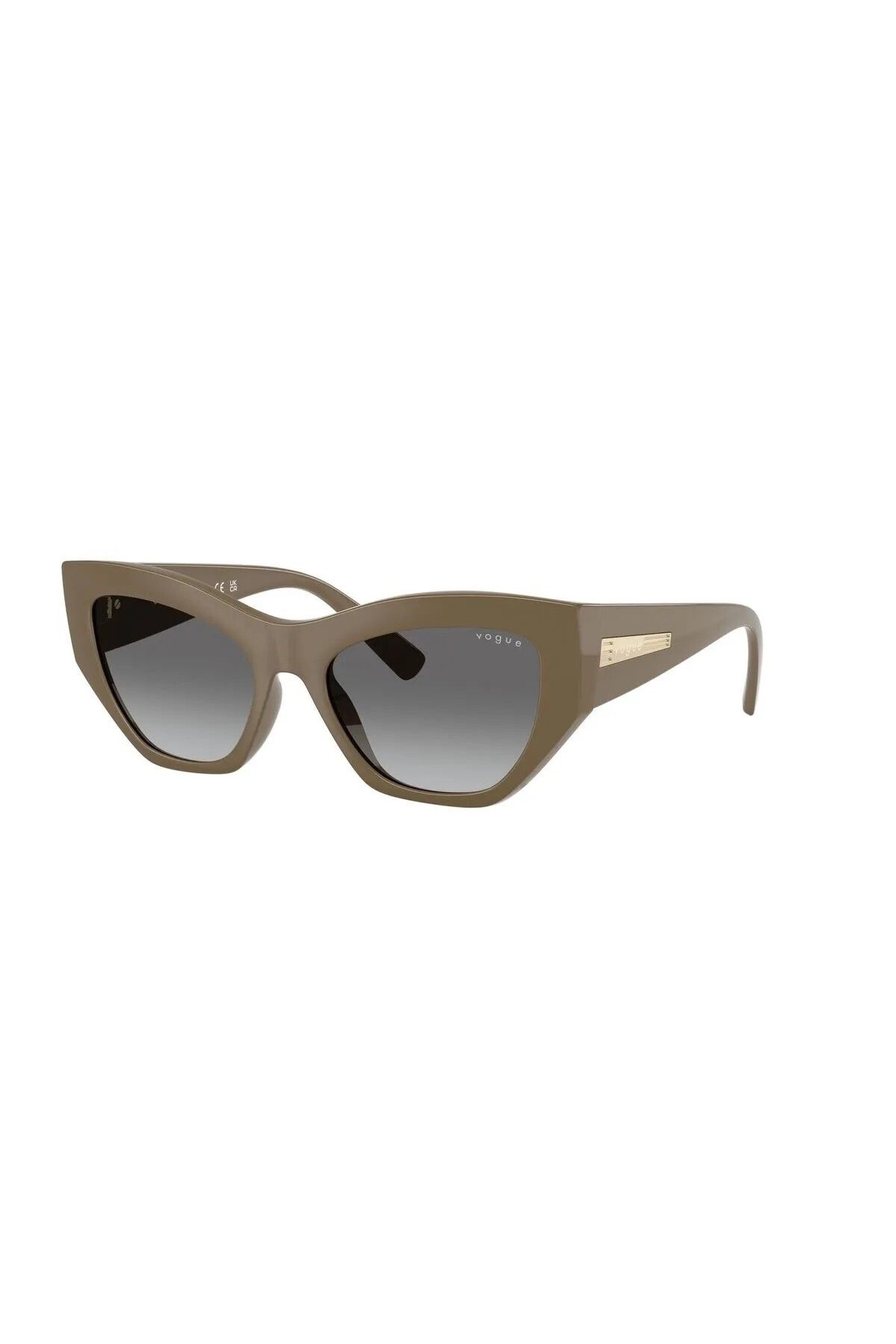 Vogue LUXOTTICA VOGUE Enjeksiyon Kadın Güneş Gözlüğü 0VO5607S-25