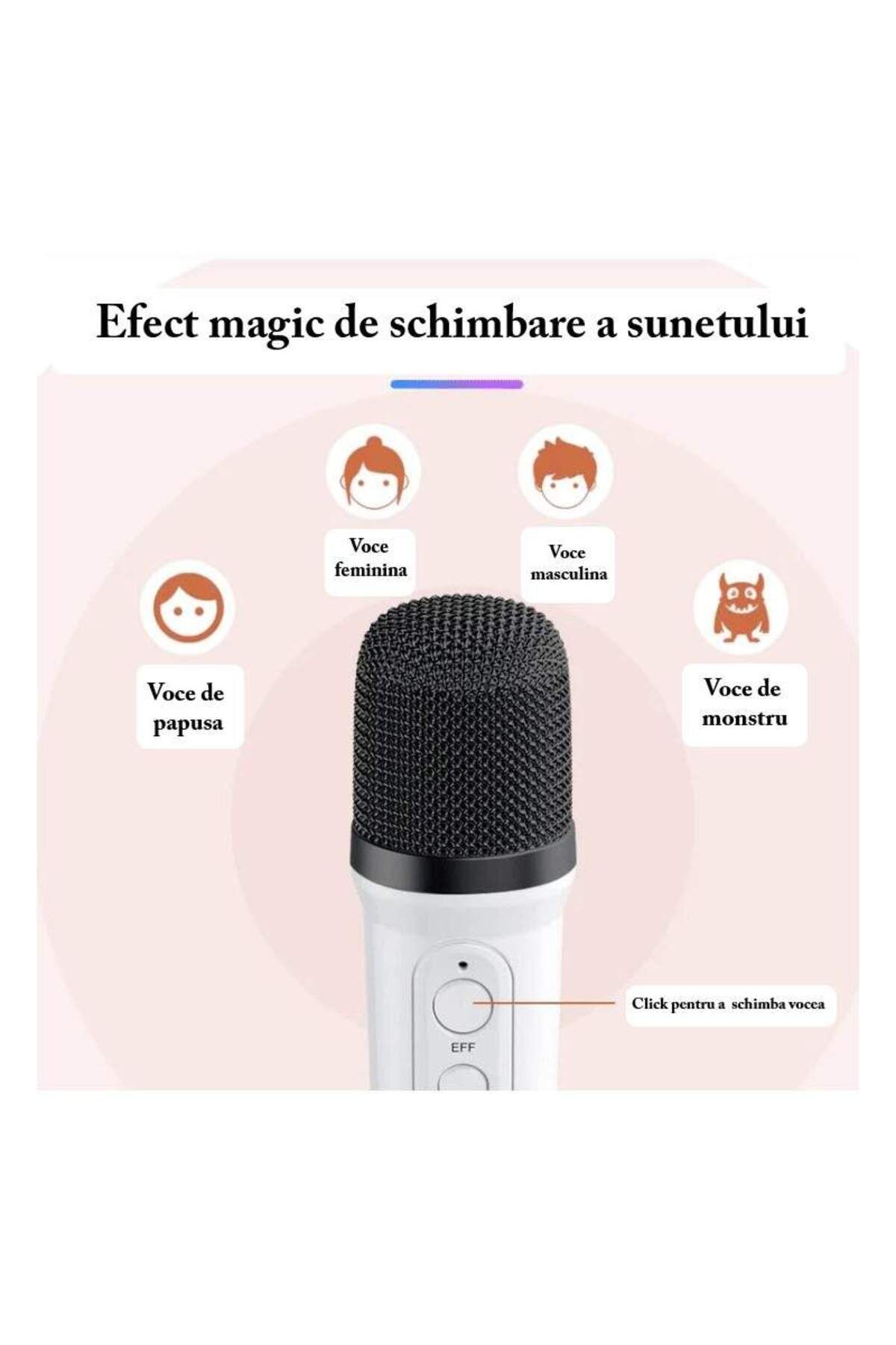 SIKS-Complete Set of SIKS Smart Microphone and Wireless Speaker Station for Karaoke with RGB Led Light 5