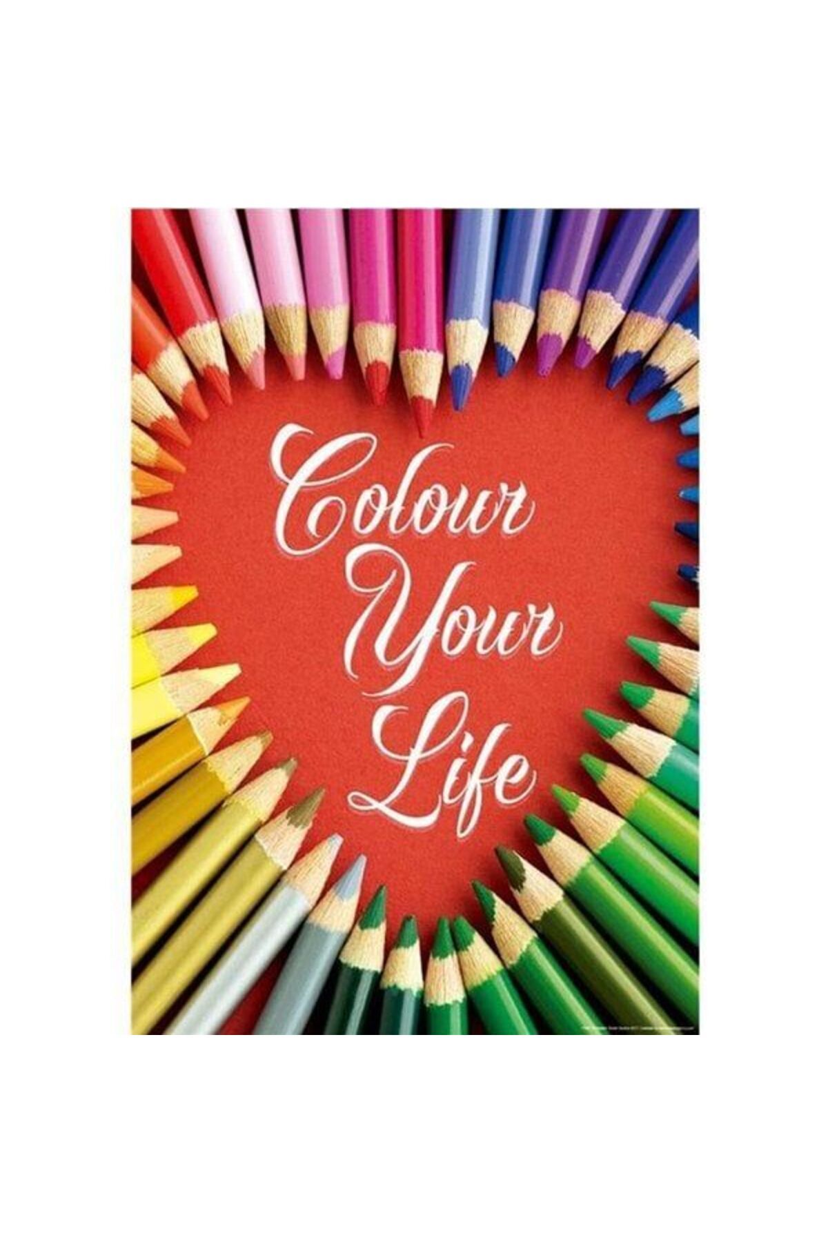 swilex 17081/EDU COLOUR YOUR LIFE /Educa 500 parça puzzle