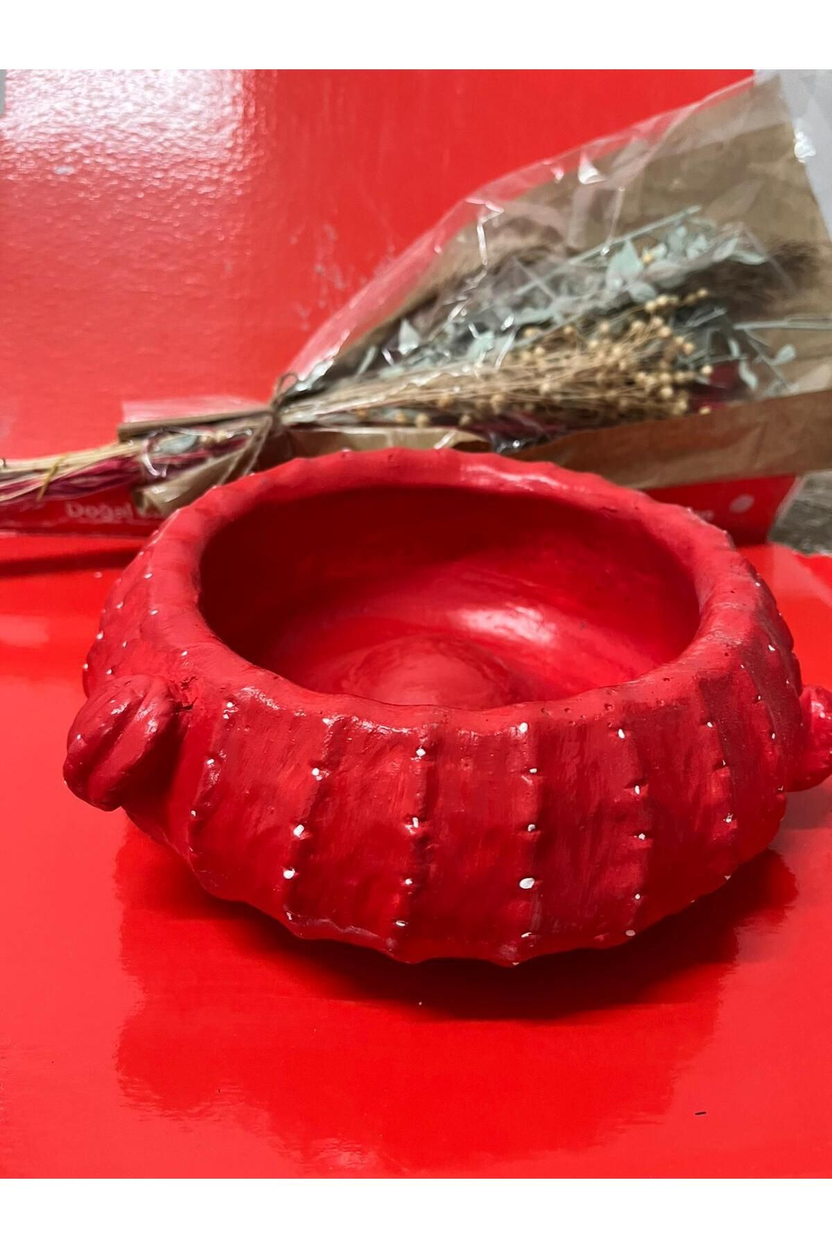 Home kırmızıkaktüssaksı
