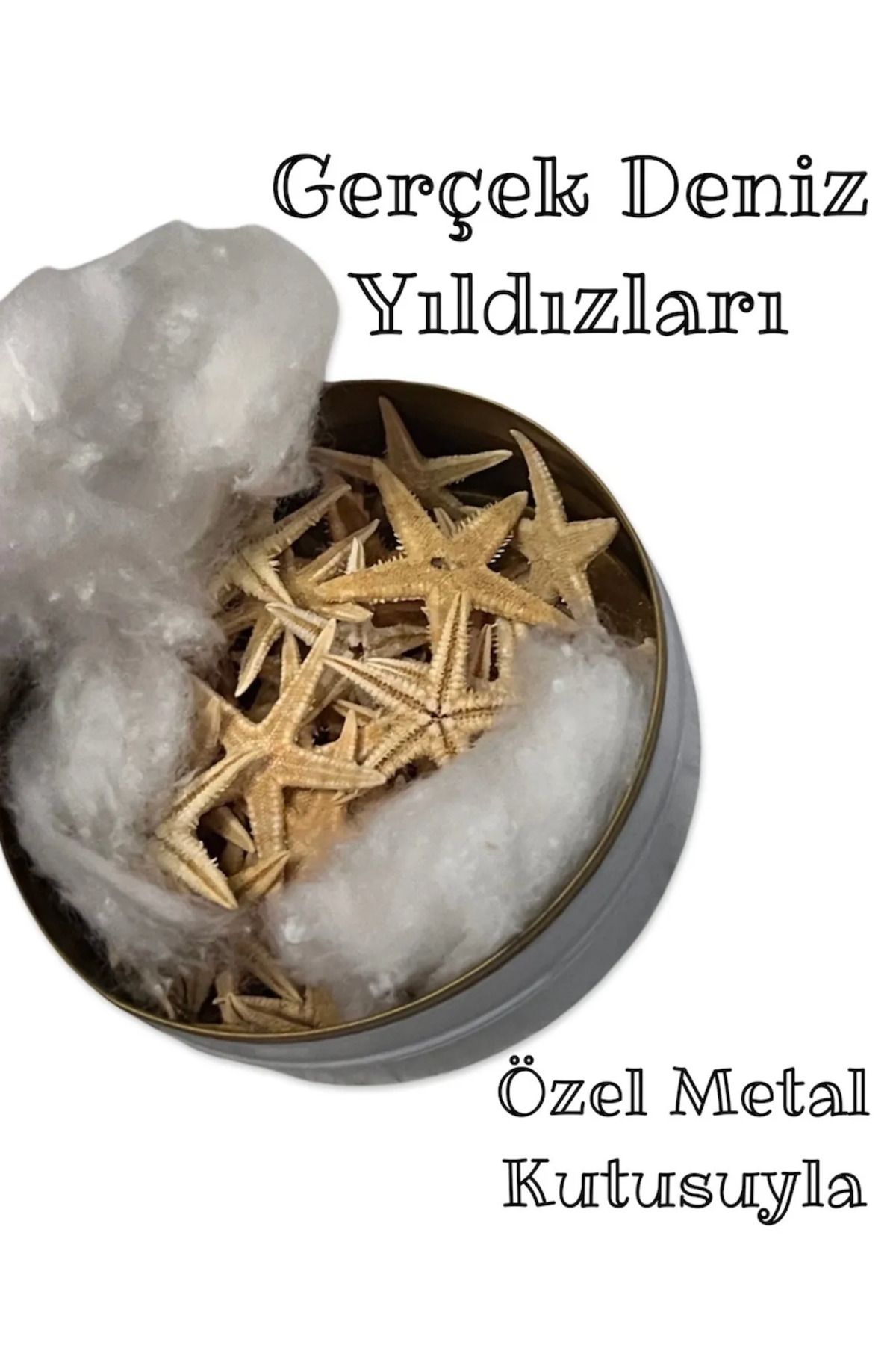 Flea Market Metal Kutuda 3 Boy , 50 Adet Gerçek Narin Deniz Yıldızı , Dekoratif Yıldız ( Ort. 2 - 3 Cm. )
