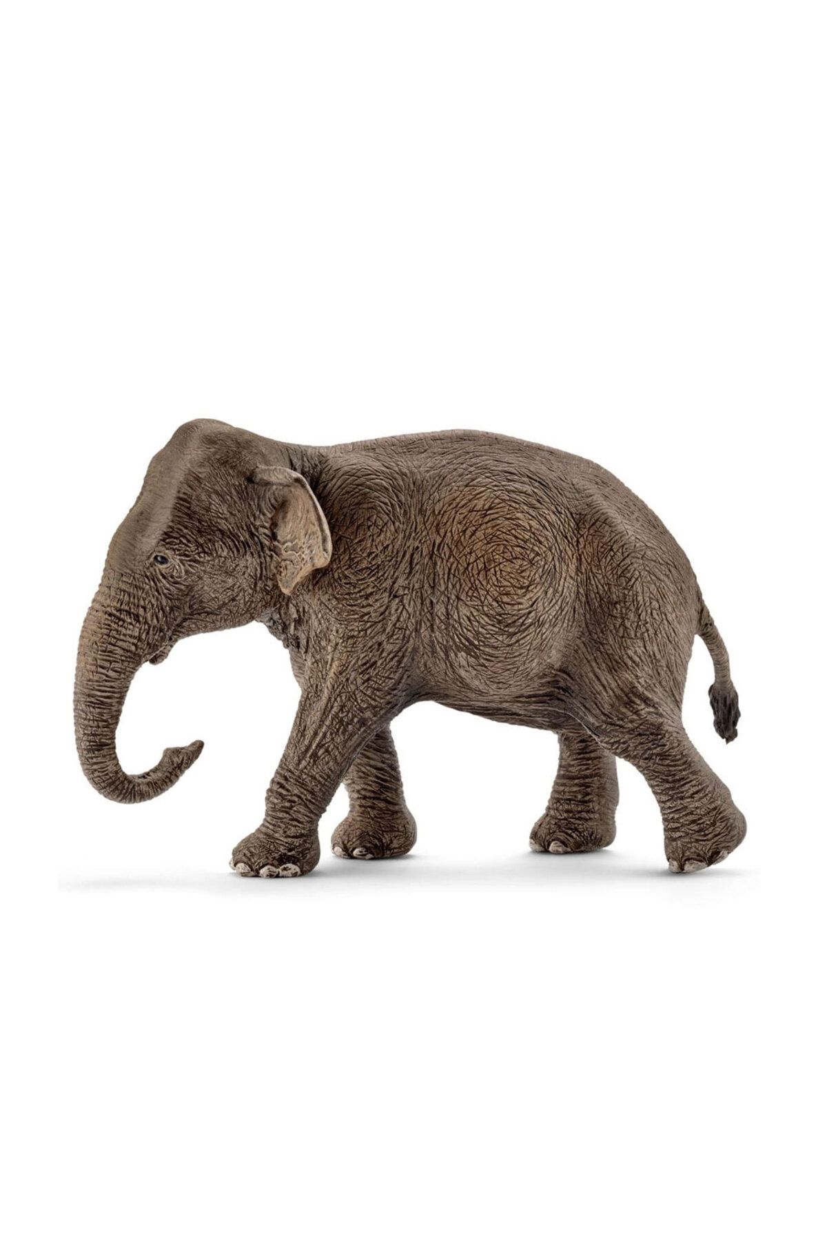 SCHLEICH Dişi Asya Fili 17001