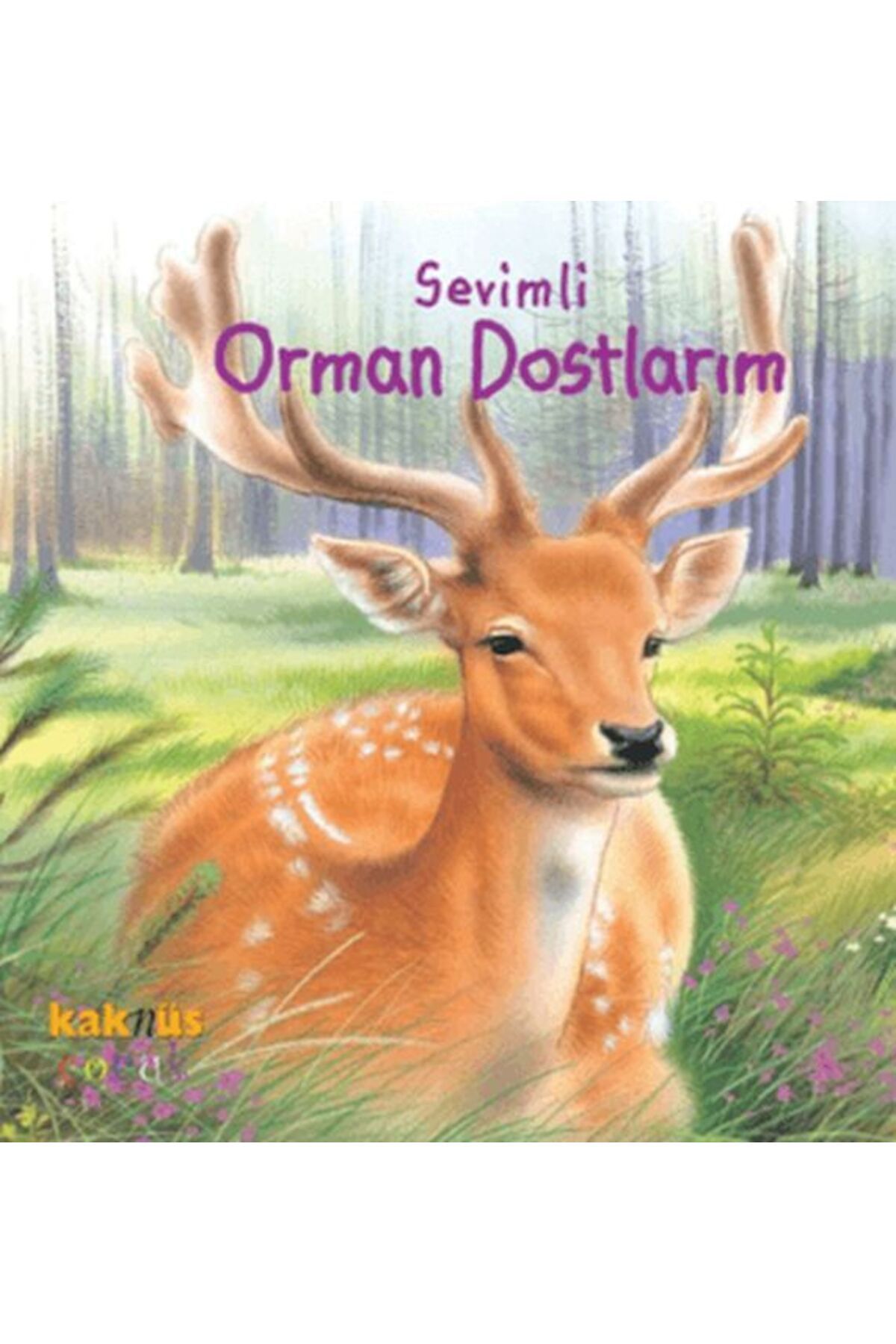 Kaknüs Yayınları Sevimli Orman Dostlarım