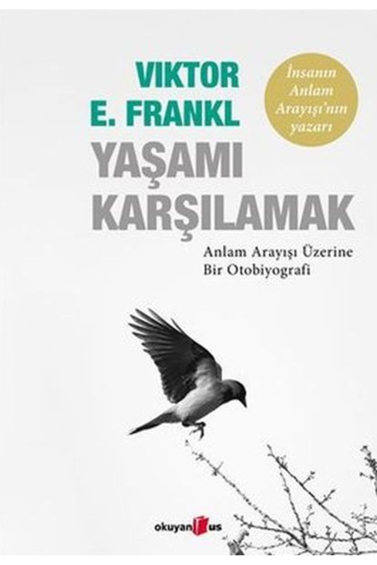 Okuyan Koala Yaşamı Karşılamak