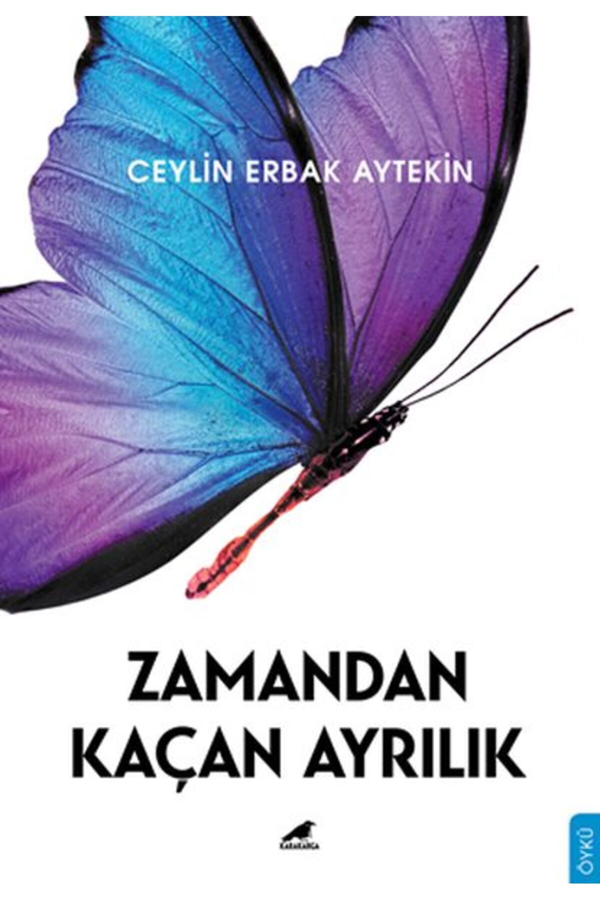 Kapı Yayınları Zamandan Kaçan Ayrılık
