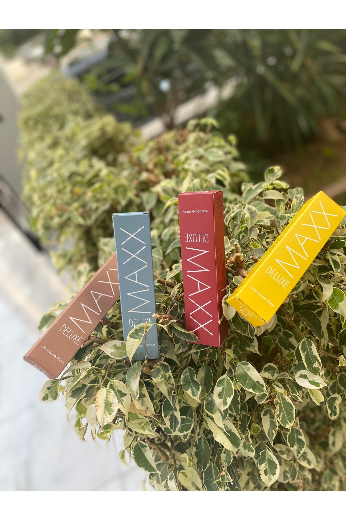 Maxx Max deluxe saç boyası 1 numara siyah