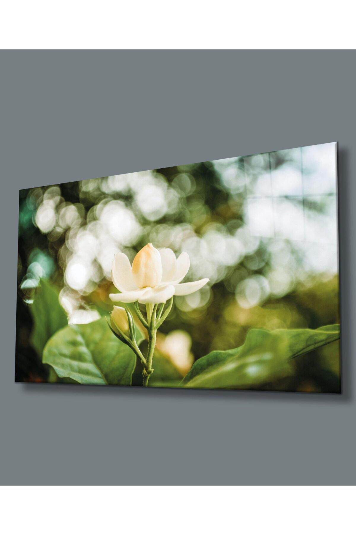 idealizbiz Pictură Din Sticlă Cu Flori 4 Mm Sticlă Temperată Durabilă Artă De Perete Din Sticlă Cu Flori Albe - 36 x 23
