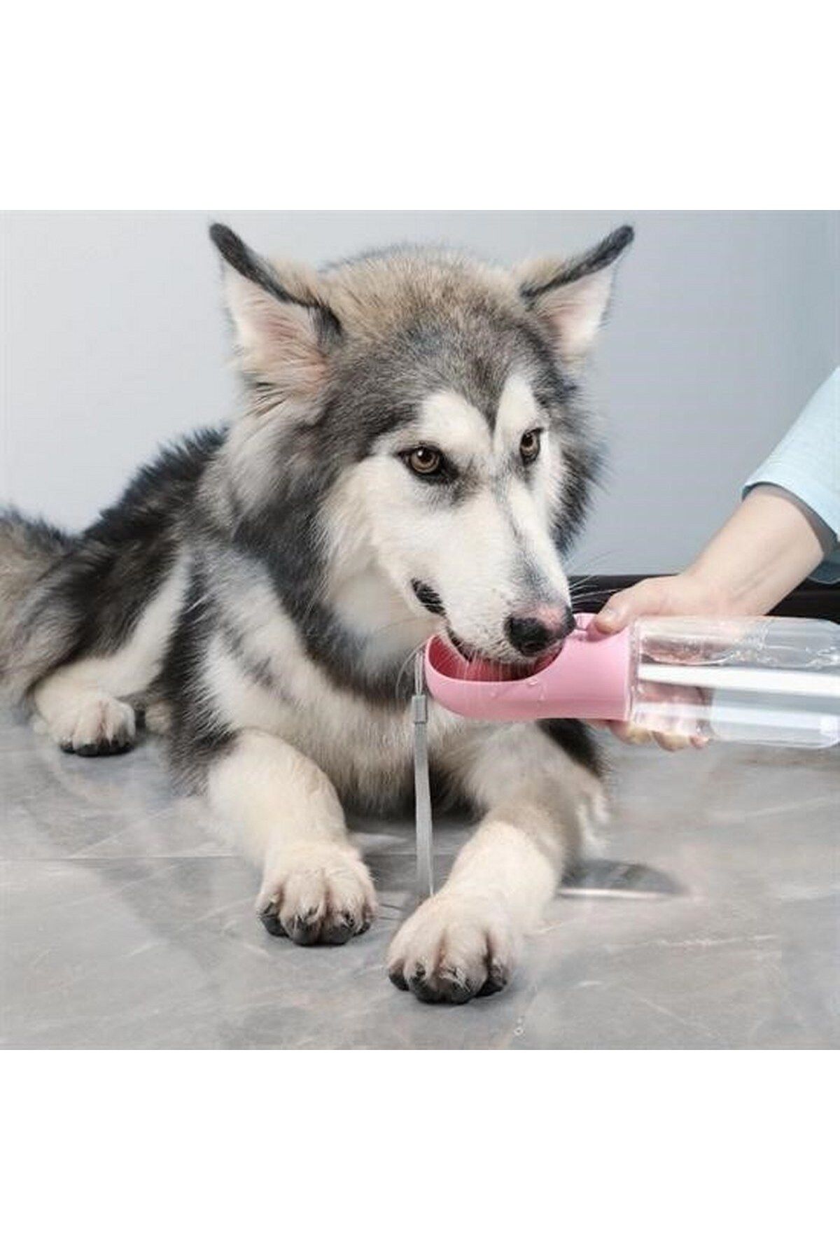 tedaks-350 ml Pet Waterer with Portable Button 2
