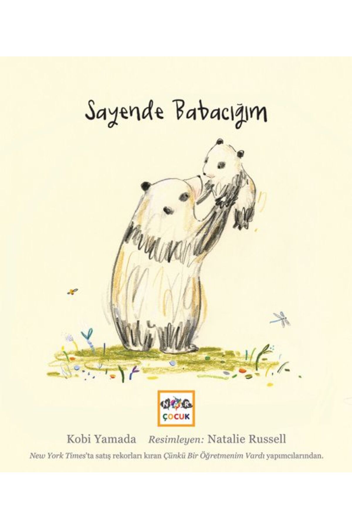 Nar Yayınları Sayende Babacığım