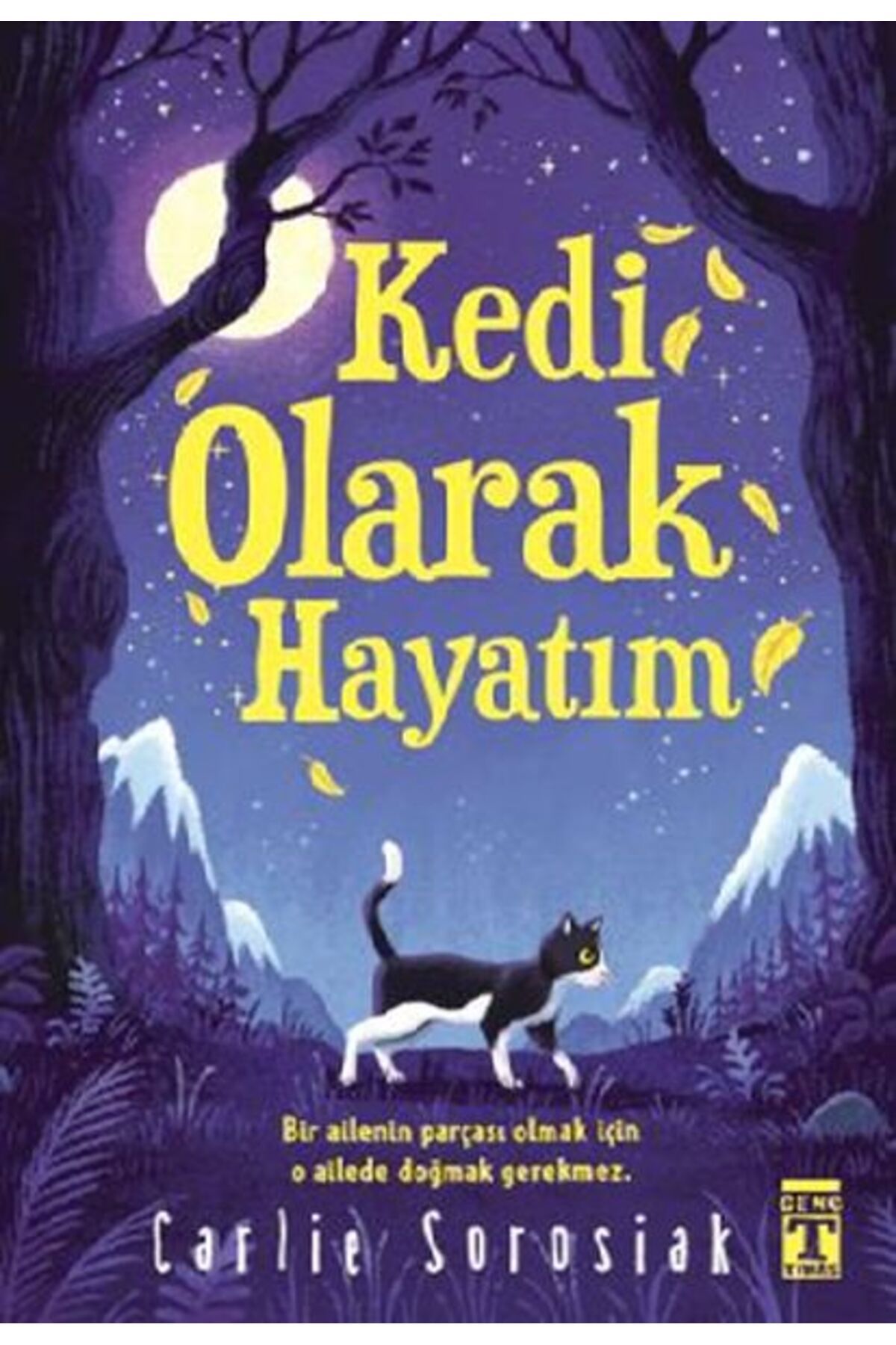 Timaş Genç Kedi Olarak Hayatım
