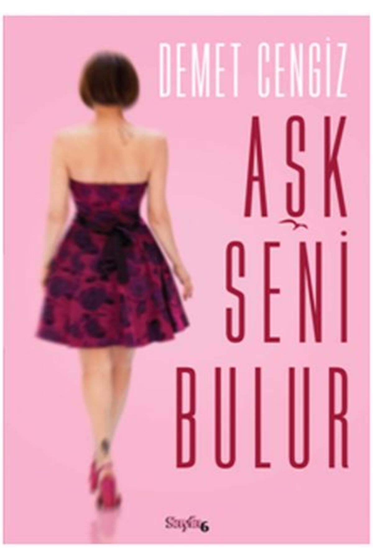 Sayfa6 Yayınları Aşk Seni Bulur