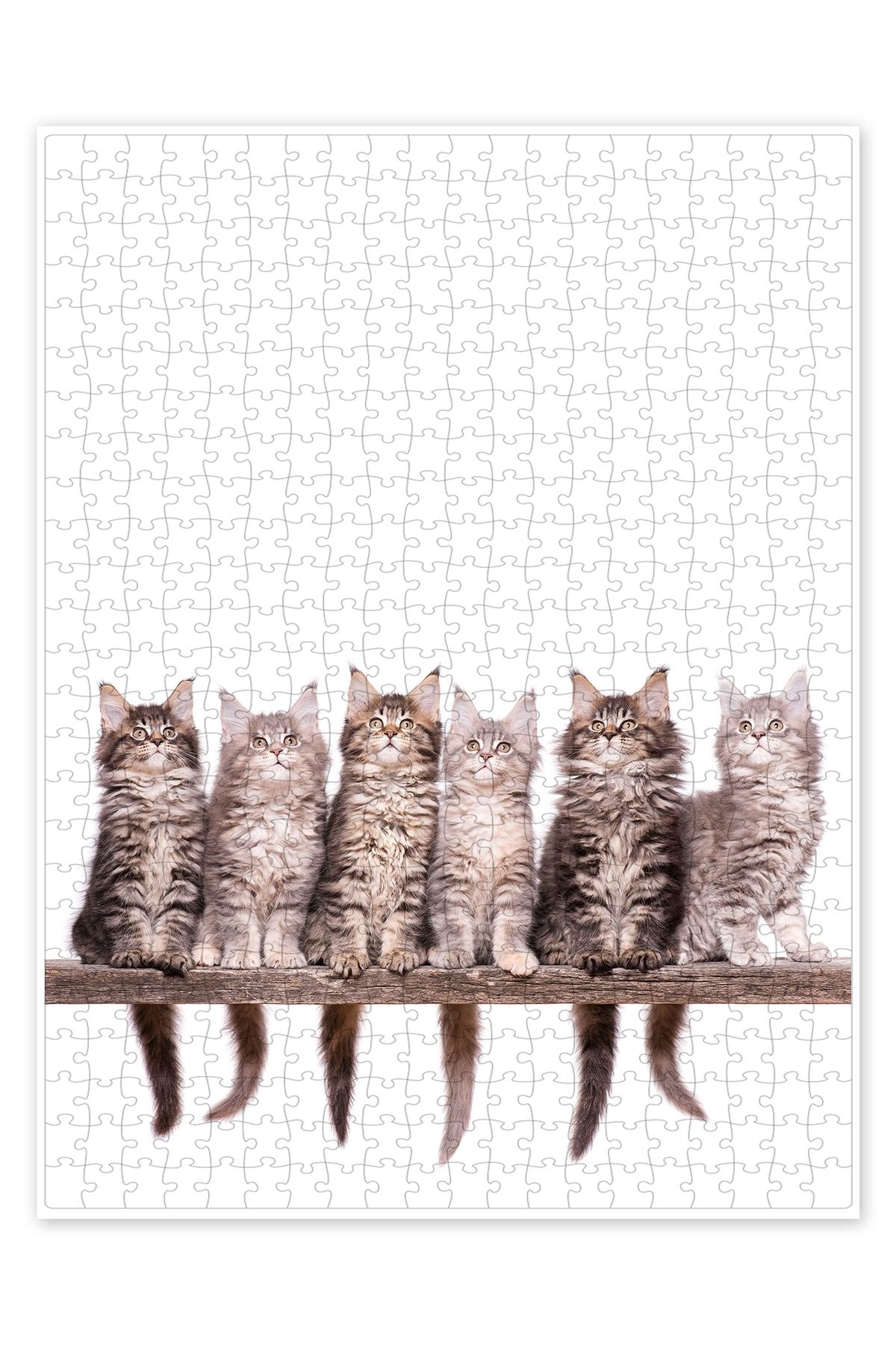 Jeronkarji Maine Coon Yavru Kedi 500 Parça Puzzle Yapboz Çocuklar için Neşeli Hayvan Temalı