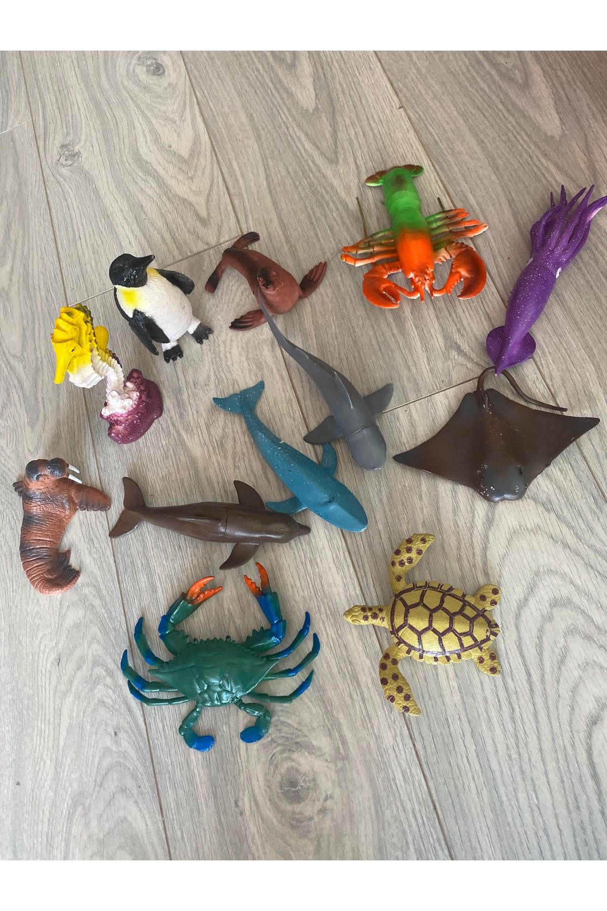 Toys Okyanus hayvanları
