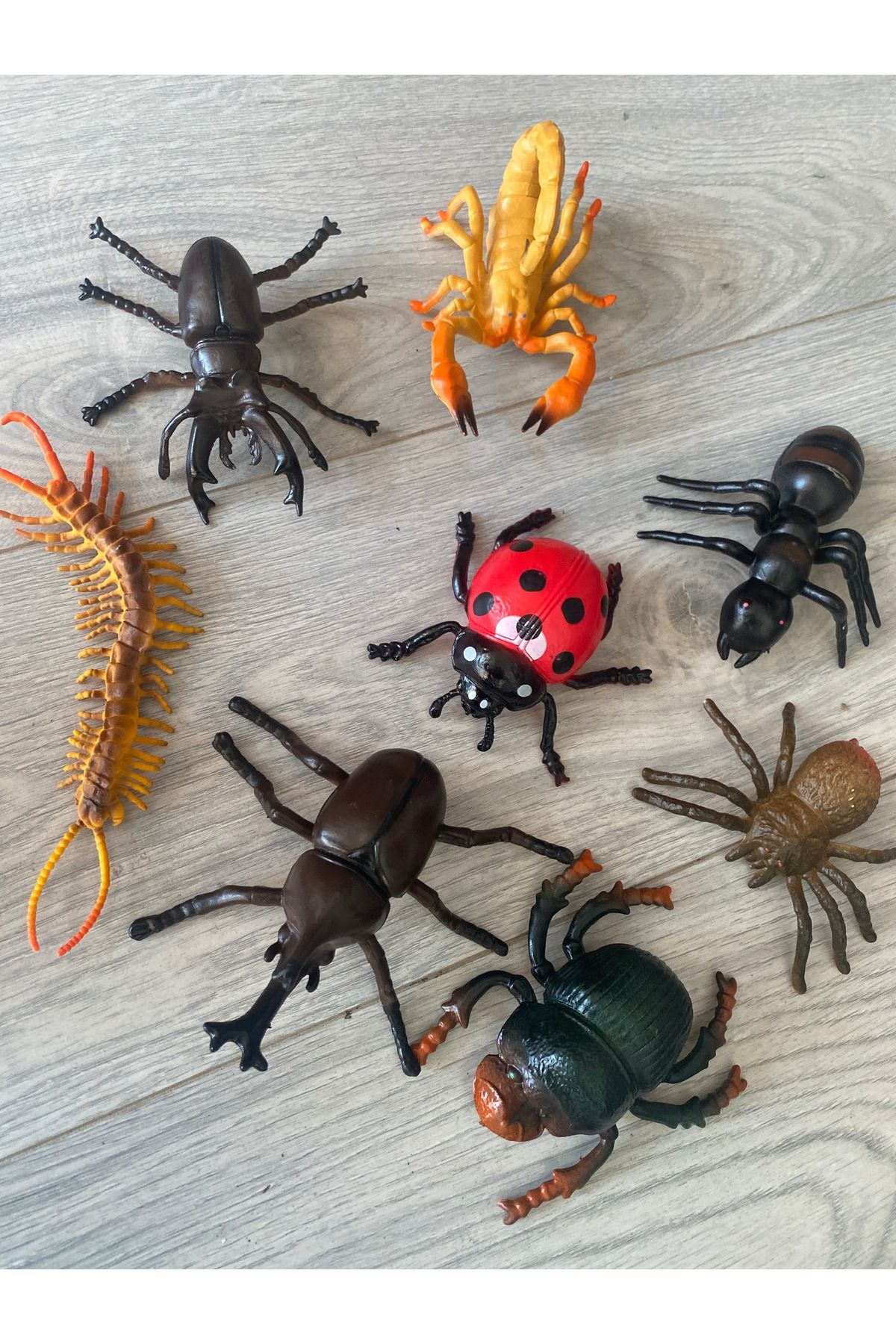 Toys Böcek hayvan seti