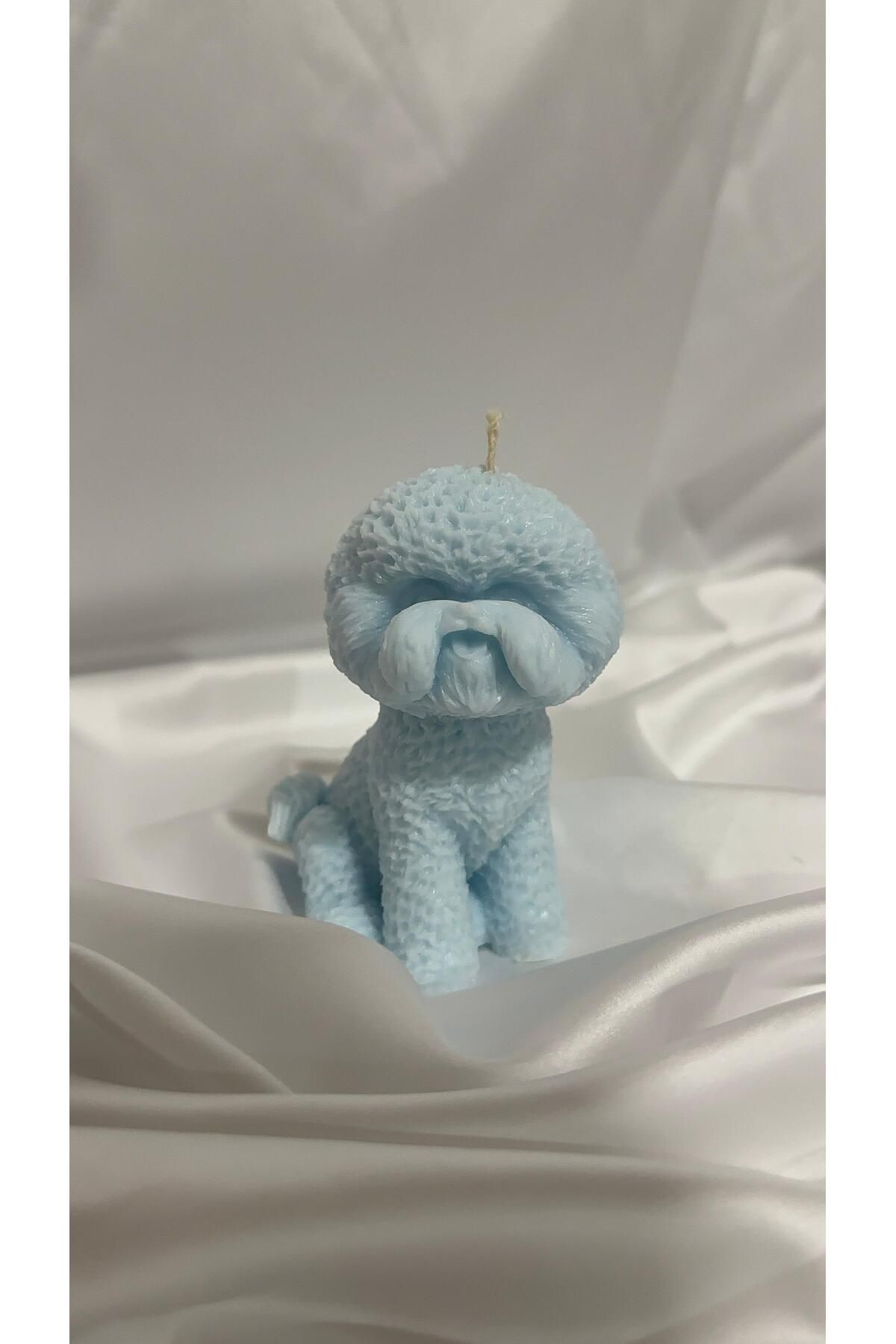 Home ZnCraft Mavi - Okyanus Kokulu Poodle Köpek Mum – %100 Doğal Soya Wax | 7x8x10 cm | Kimyasal İçermez