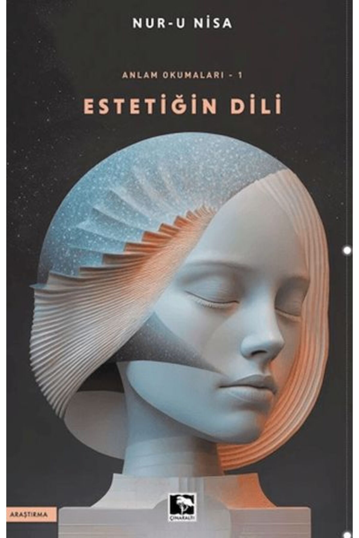 Çınaraltı Yayınları Anlam Okumaları/Estetiğin Dili -1