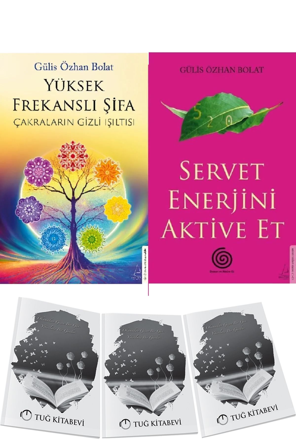 Destek Yayınları Yüksek Frekanslı Şifa ve Servet Enerjini Aktive Et 2li Set Gülis Özhan Bolat + Hediyeli