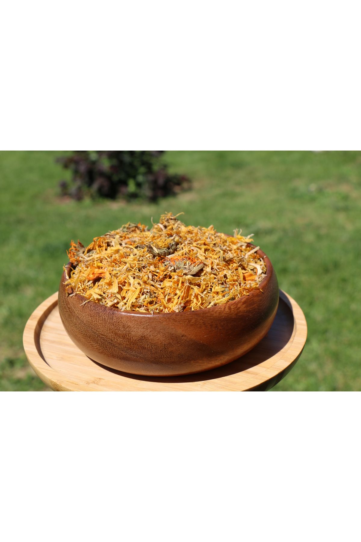 Natura Şifa Doğal Taze Toplanmış Aynısefa Çayı 500 gr