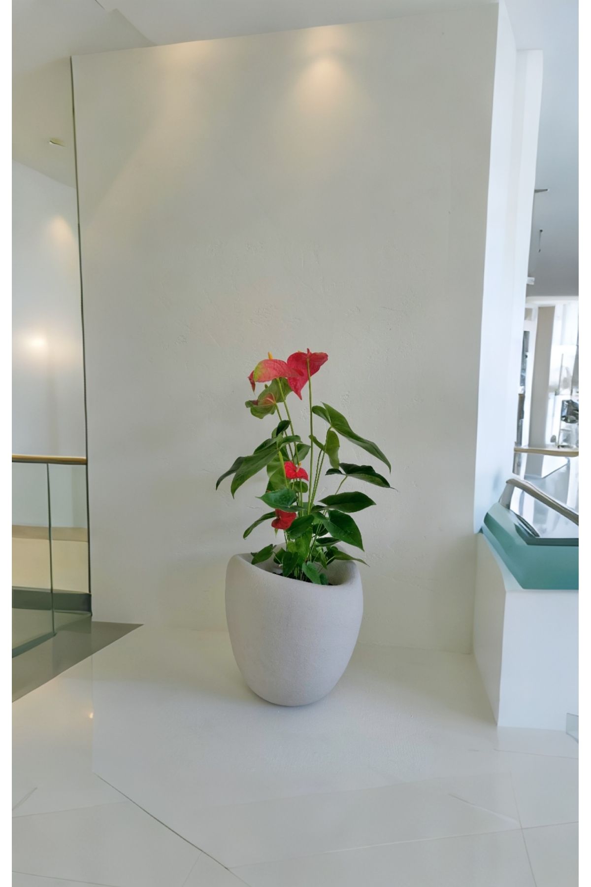 Lunalore Beton Avize Fiber Beton Görünümlü Dokulu 45 CM Modern Saksı Tasarımı Yapay ve Canlı Bitki Uyumlu