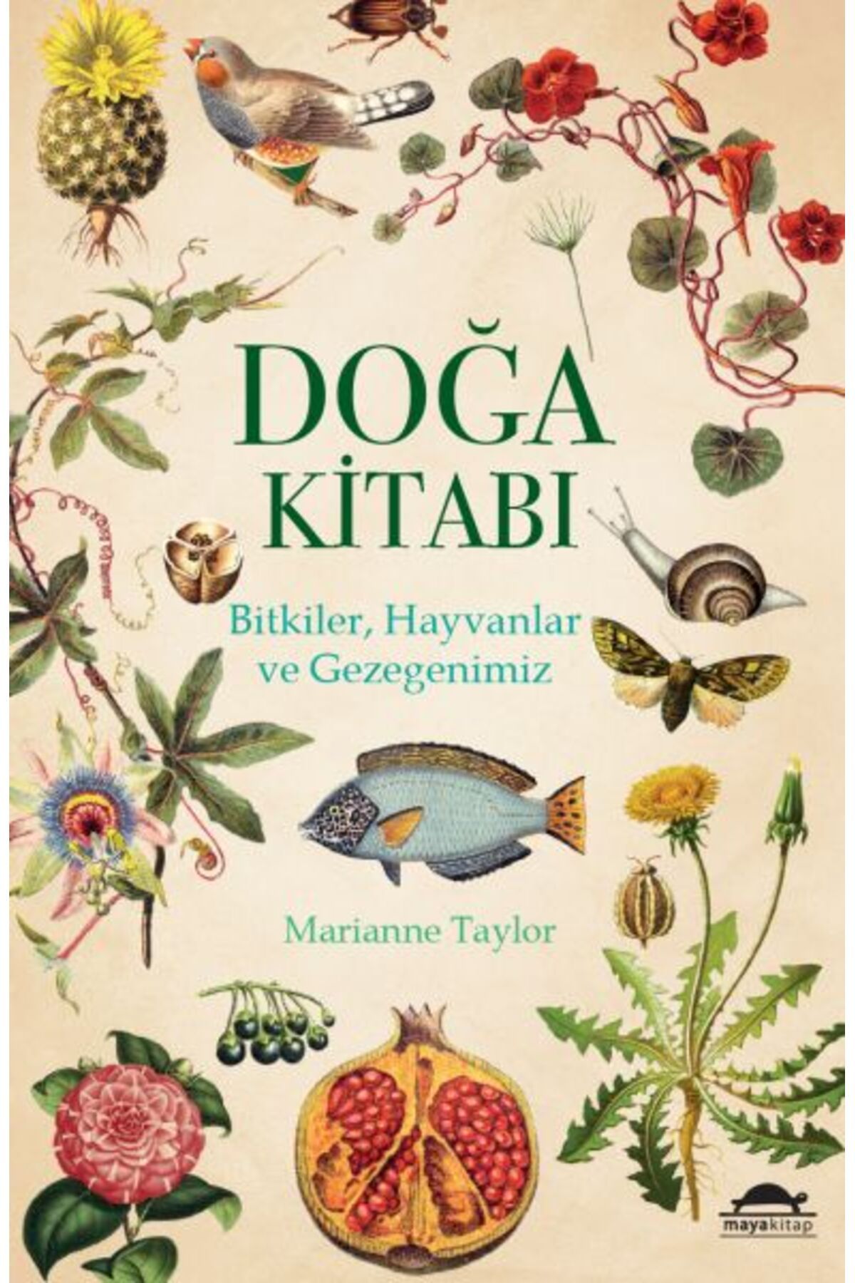 Maya Kitap Doğa Kitabı - Bitkiler, Hayvanlar ve Gezegenimiz