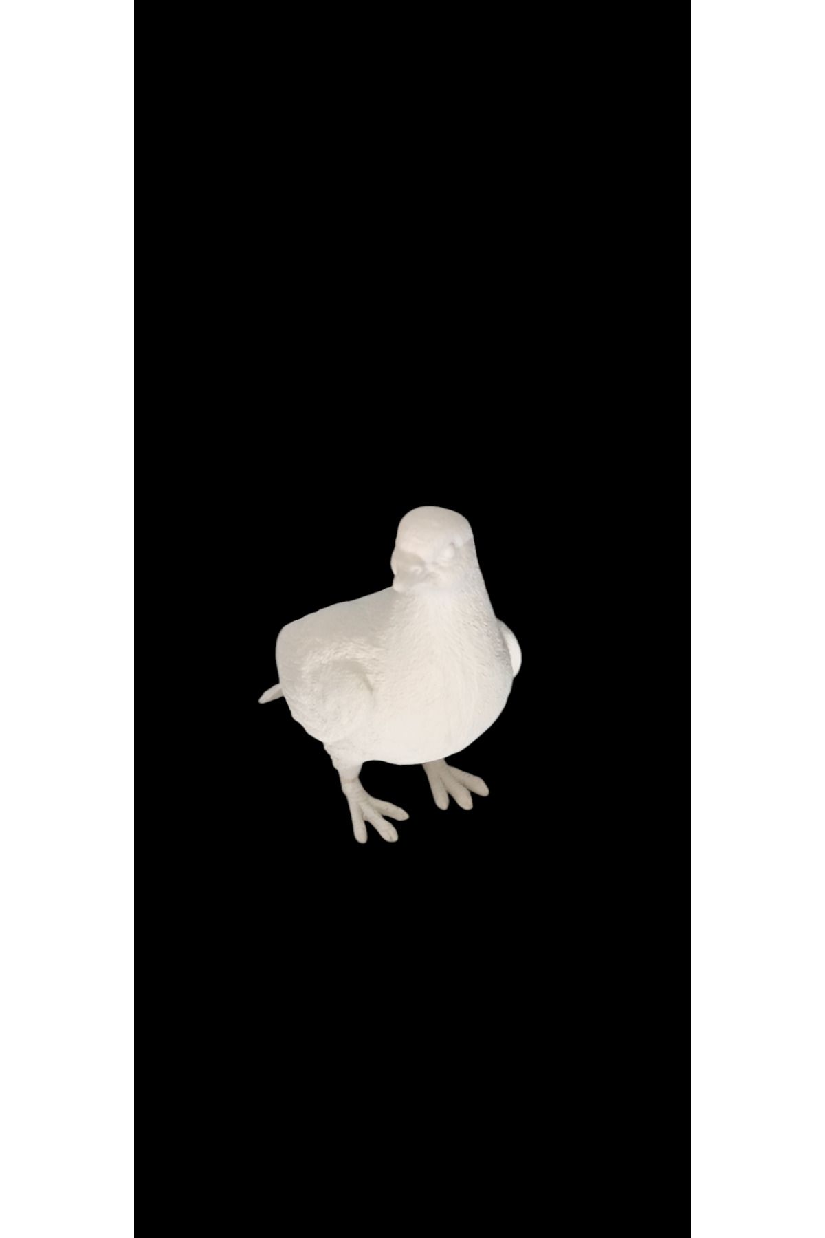 Sunseaart HYK1201 - GÜVERCİN 2