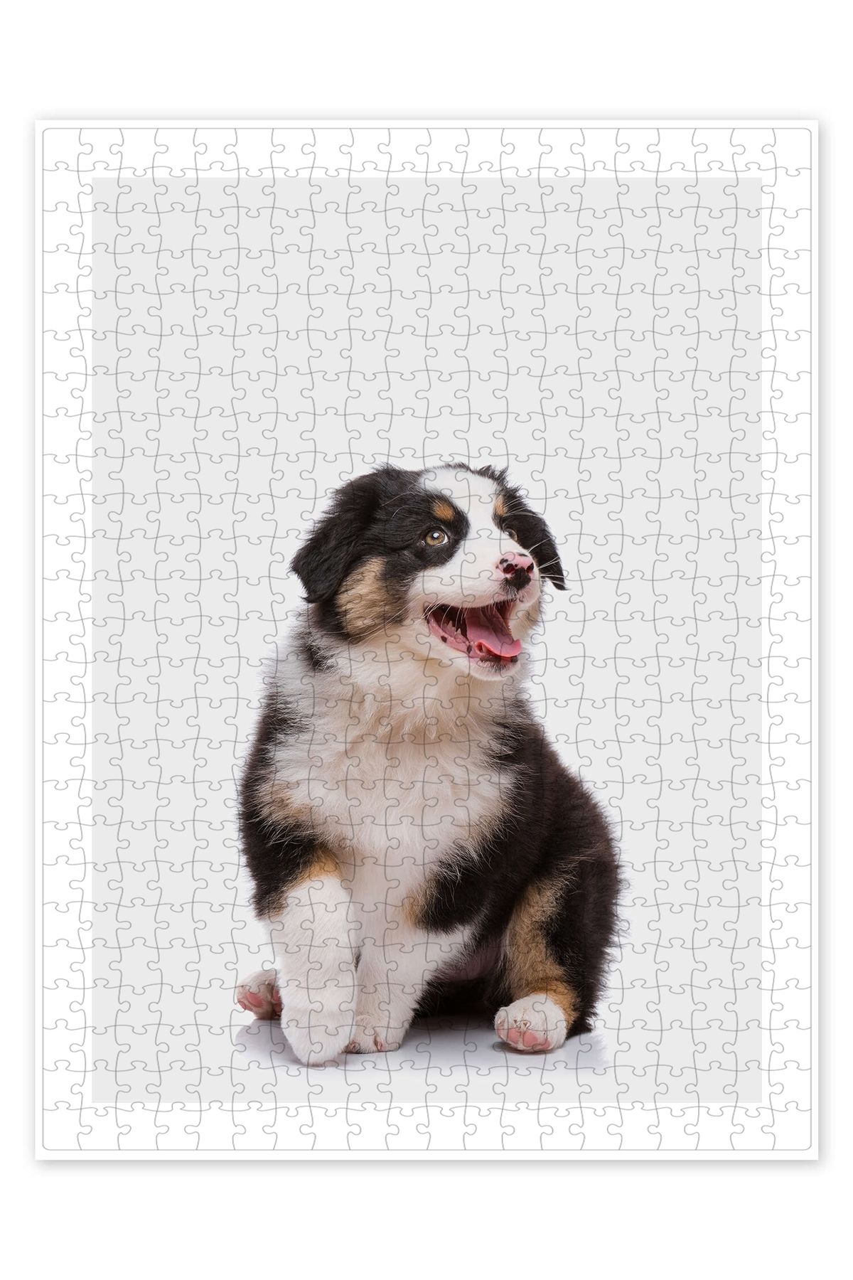 Jeronkarji Avustralyalı Çoban Köpeği Yavrusu III 500 Parça Puzzle Yapboz Çocuklar için Neşeli Hayvan Temalı