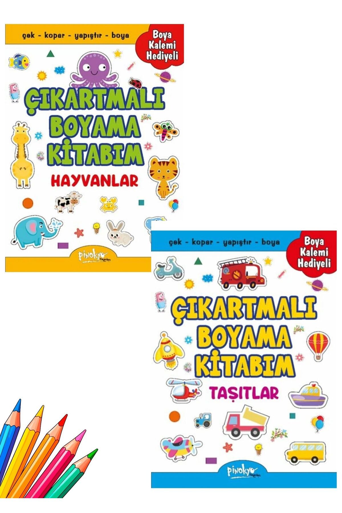 Destek Yayınları ÇIKARTMALI BOYAMA KİTABI KURU BOYA KALEMİ HEDİYELİ
