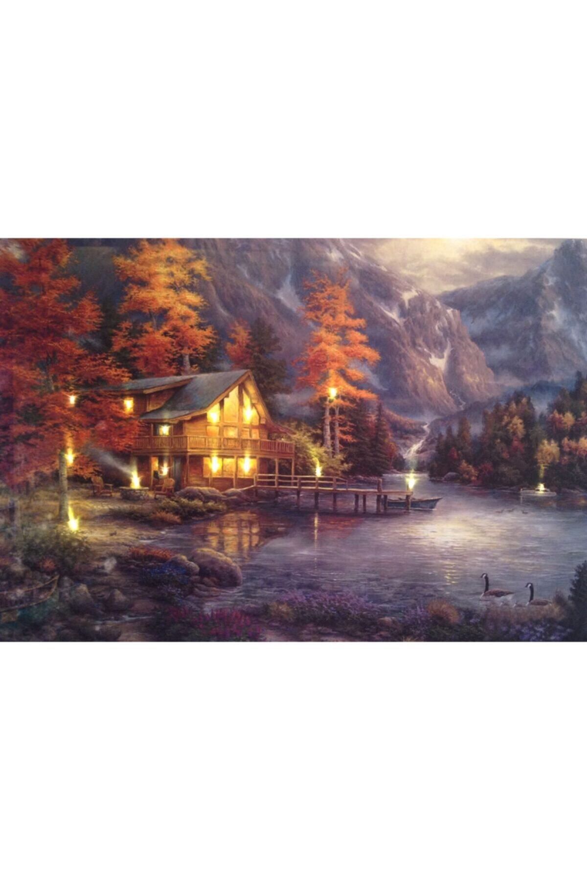binbirçeşit Ördekli Kanvas Led (ışıklı) Tablo 60x90 Cm