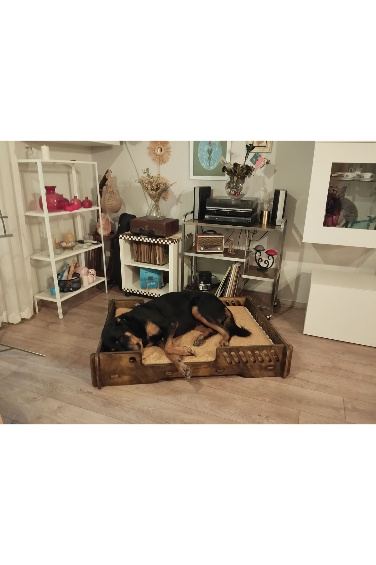 Pige Bilboa Köpek Yatağı Büyük Boy 70 X 100 Cm