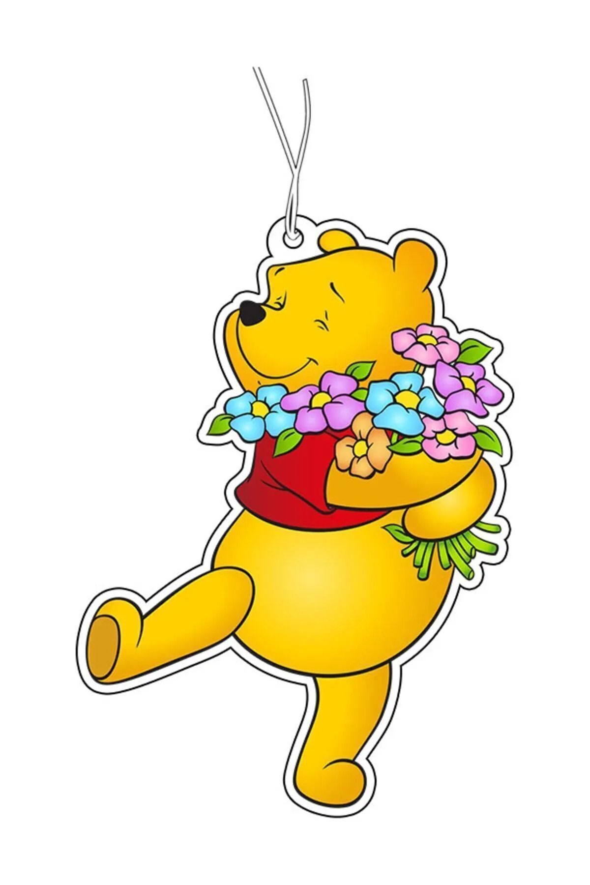 Aura Master Winnie The Pooh Tasarımlı Dekoratif Oto, Ev, Ofis Kokusu Ve Aksesuarı