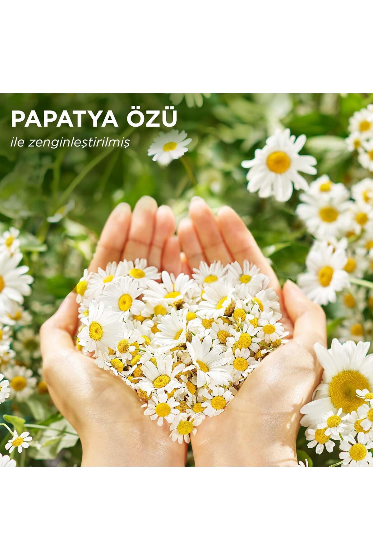 کرم مراقبت از مو با رایحه بابونه براق و نرم 250ml