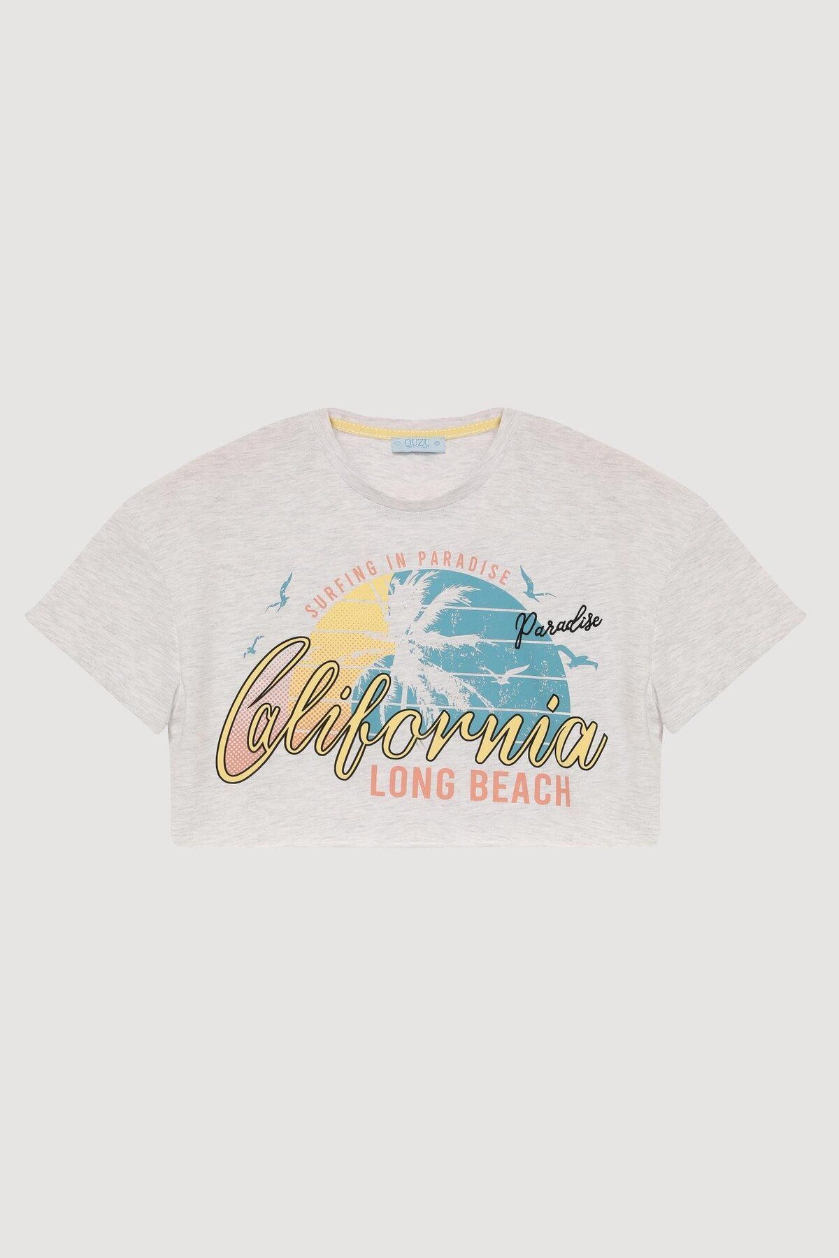 Quzu Baskı ve Nakış Detaylı Crop T-shirt Gri
