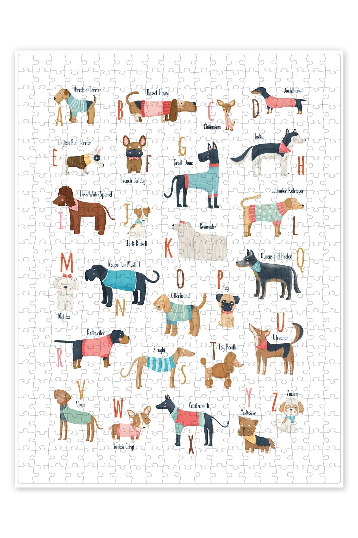 Jeronkarji Giysili Köpekler alfabesi 500 Parça Puzzle Yapboz Kedi Köpek Temalı Doğa ve Orman Hayvanları