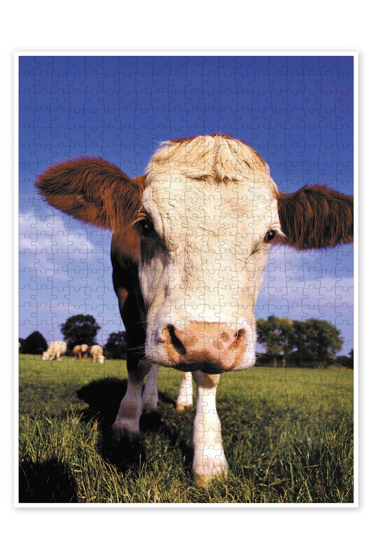 Jeronkarji İnek yüzlü 500 Parça Puzzle Yapboz Kedi Köpek Temalı Doğa ve Orman Hayvanları